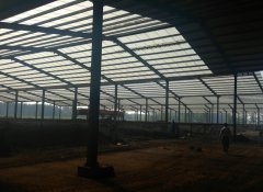 动物粪便有机肥生产线 动物粪便有机肥生产线